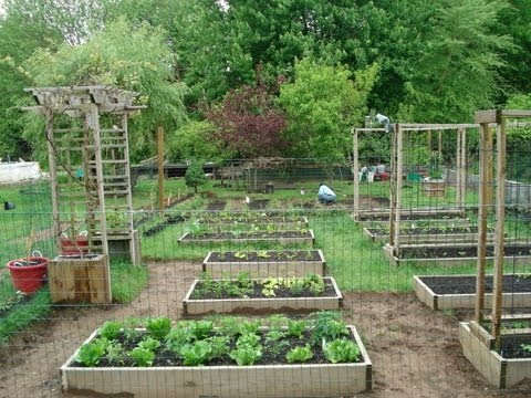 How My Dad Transformed My Mom's Garden | Backyard Organic .