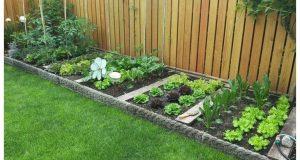 53 Affordable Frontyard and Backyard Garden Landscaping Ideas .