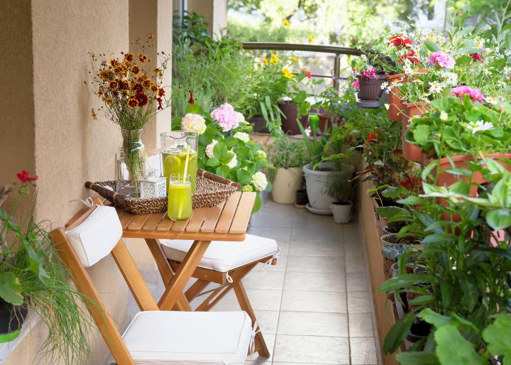 Starting a Terrace Garden or Balcony Garden] | Old Farmer's Alman