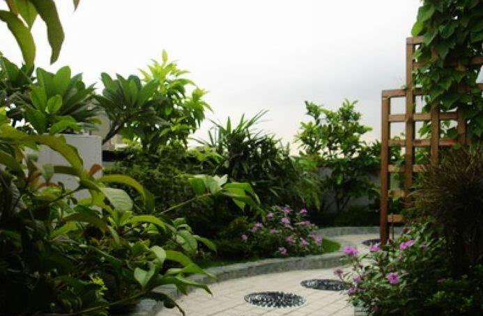 Best Terrace/Roof Garden Plants You should Grow - lenny - Garden .