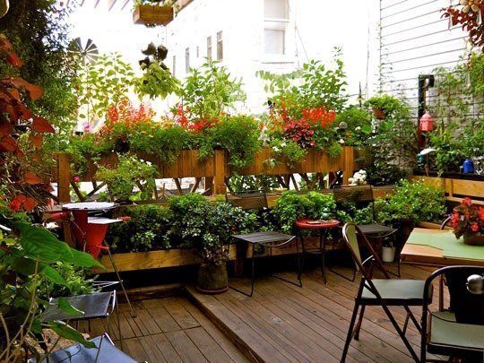 No Yard? No Problem: The Best Balcony, Rooftop and Patio Gardens .