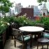 Best Terrace/Roof Garden Plants You should Gr