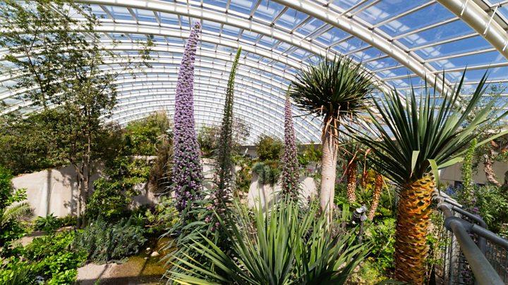 National Botanic Gardens of Wales is blooming at 20 - BBC Ne