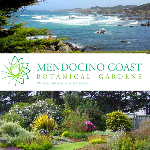 Mendocino Coast Botanical Gardens - MCBG Inc. 2020 | Fort Bragg .
