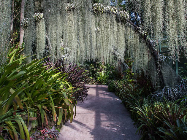 10 Best Botanical Gardens In The Wor