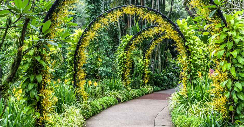 Finest Botanical Gardens Around the World And Their Fascinating Plan