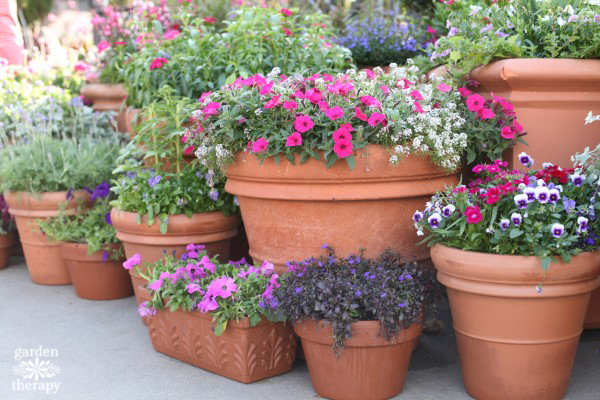 Your Garden … with Kate Russell: Container gardening is helpful .