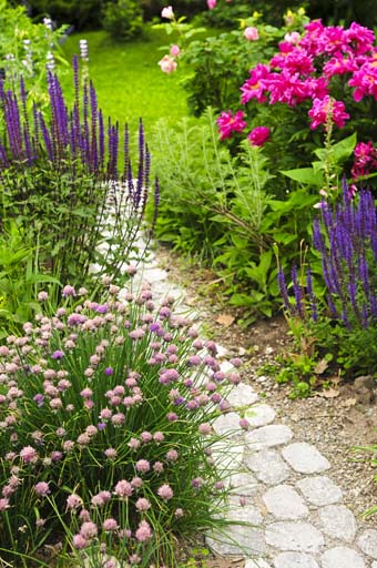 How to Design an Old-Fashioned Cottage Garden | Gardener's Pa