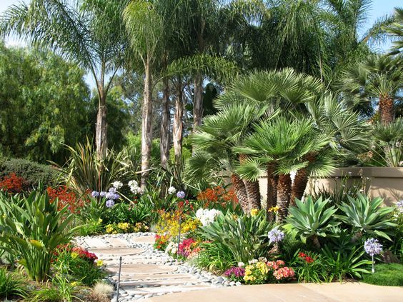 Lush desert-tropical landscaping with lots of color and variation .
