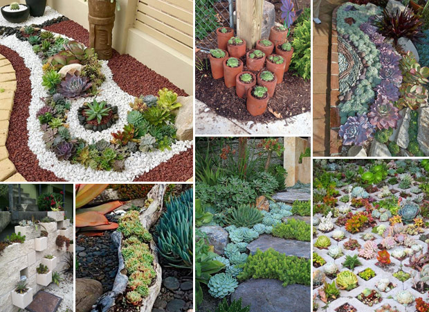 20 Ideas for Creating Amazing Garden Succulent Landscapes - Proud .