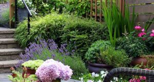 15 Cheap Garden Ideas - Best Garden Ideas On A Budg