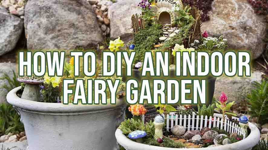 How to DIY an Indoor Fairy Garden - Indoor Gardeni