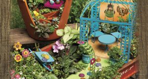 Miniature Fairy Garden Supersto