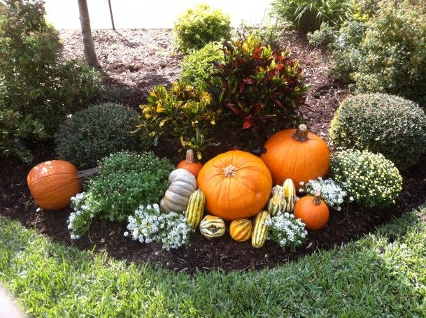 fall flower bed ideas - Google Search | Fall yard decor, Fall .