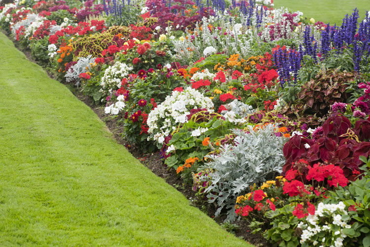 35 Best Flower Bed Ideas: Beautiful Flower Garden Designs (2020 Guid