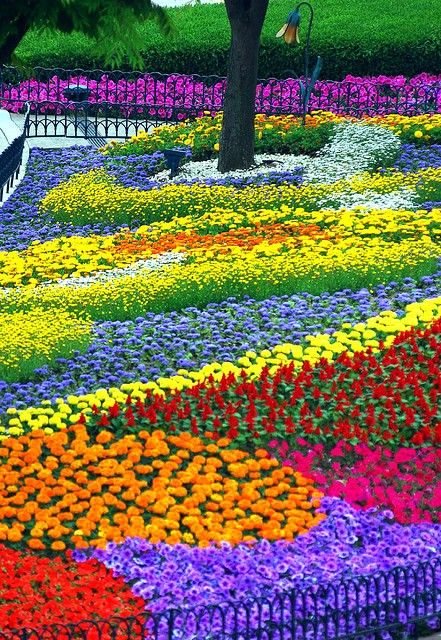 Rainbow garden .... .SOUTH KOREA ... ©In Cherl Kim (floridapfe .