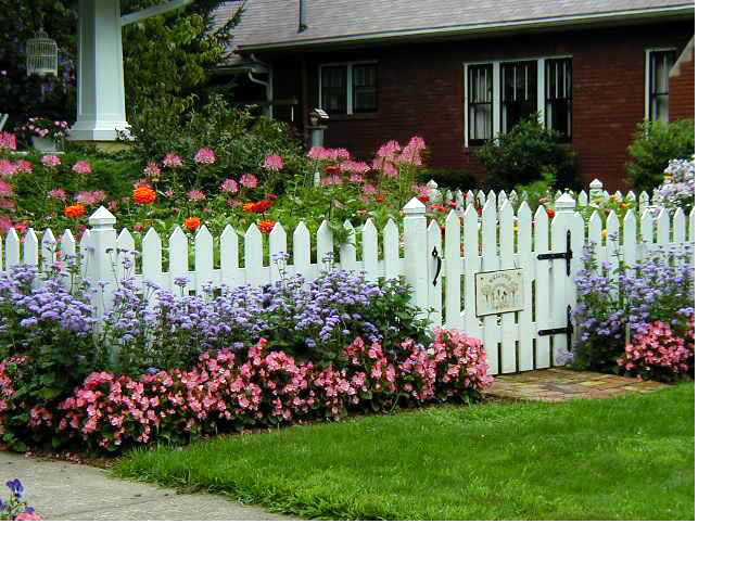 Explore Cornell - Home Gardening - Using Color in Flower Garde