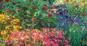 How to Grow a Flower Garden - Flower Gardening Tips & Advice - Burp