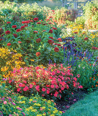 How to Grow a Flower Garden - Flower Gardening Tips & Advice - Burp