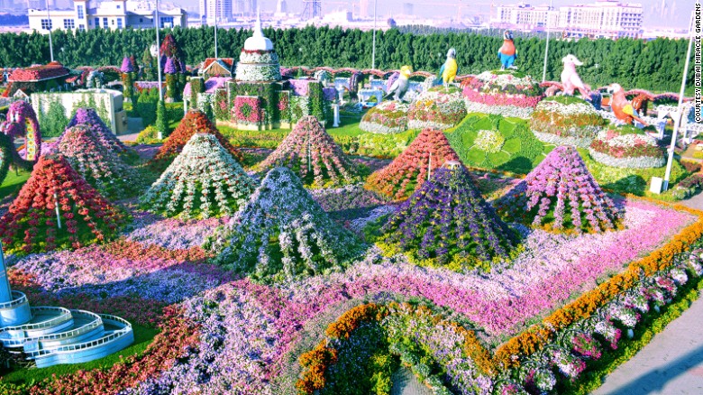 Dubai Miracle Garden: World's largest flower garden | CNN Trav