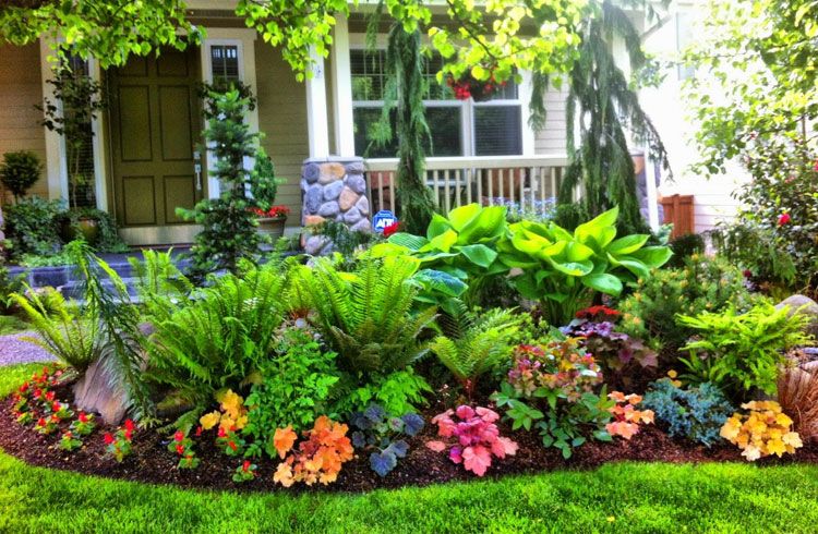 Home Ideas Review in 2020 | Shade garden design, Front yard .