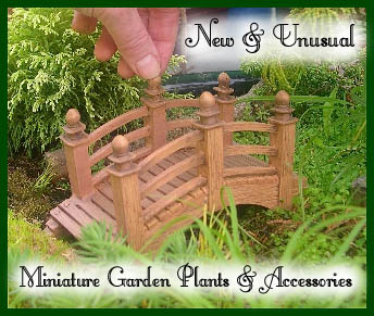 Miniature Gardening 105: Sizing up Your Miniature Accessories .