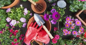 20 Best Garden Accessories - Cute Gardening Tools & Suppli