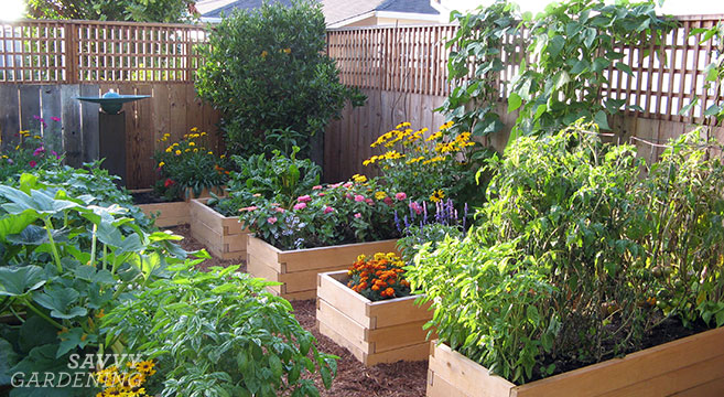 Planting a Raised Bed: Tips on spacing, sowing, and growi