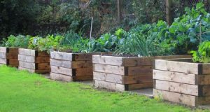 How to Build a Raised Garden Bed - DIY Raised Bed Instructio