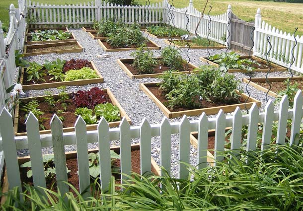The Pros and Cons of Raised Beds • Pre