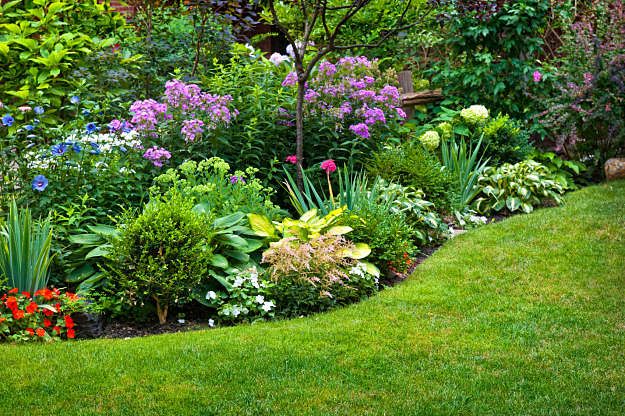 Shade Garden Border | Shade Garden Plans | Smart Design Tips And .