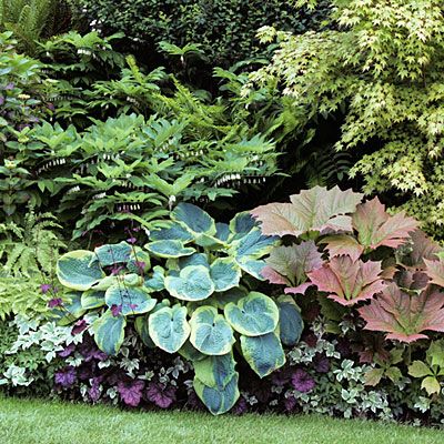 Gorgeous Garden Border Design Ideas for Any Yard in the West .