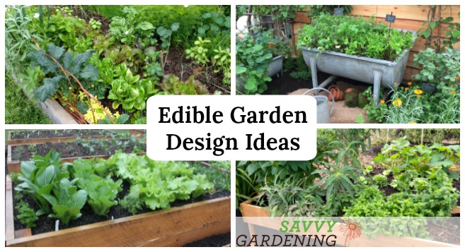 Edible Garden Design Ideas to Boost Production and Beautify your Spa