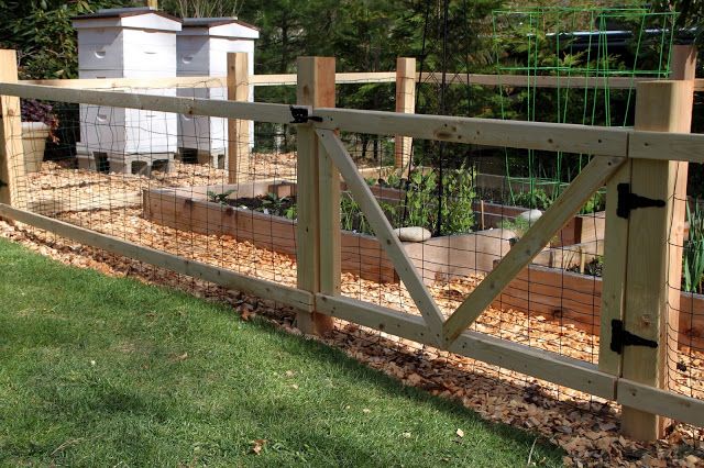 A Simple Garden Fence | Tilly's Nest | Small garden fence, Diy .