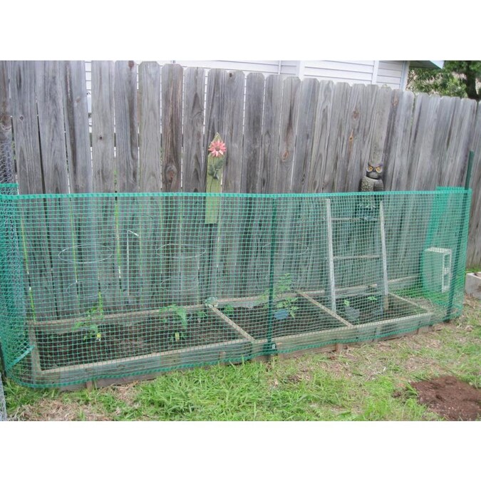 BOEN 40-inx25-ft Green Plastic Garden Fence in the Garden Fencing .