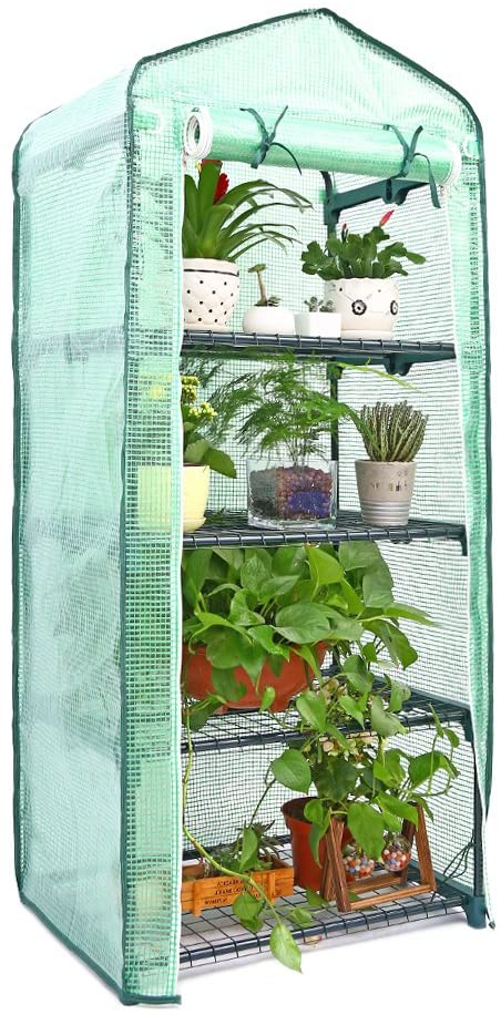 Amazon.com : Ohuhu Mini Greenhouse, Small Plant Greenhouses, 4 .