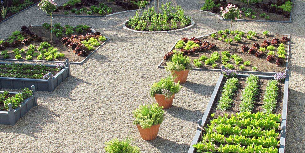 Vegetable Garden Design Ideas - Landscaping Netwo