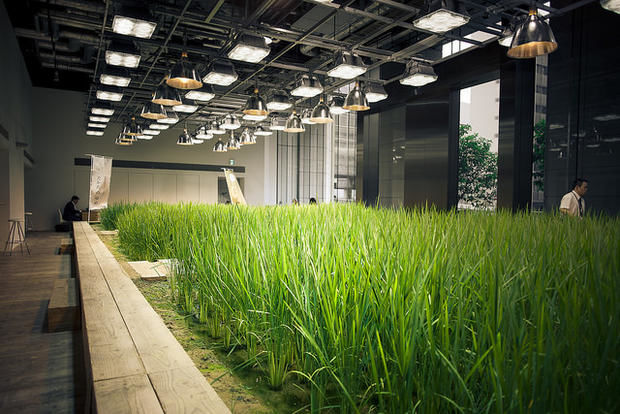 Eco Garden Offices : Sustainable Urban Gard