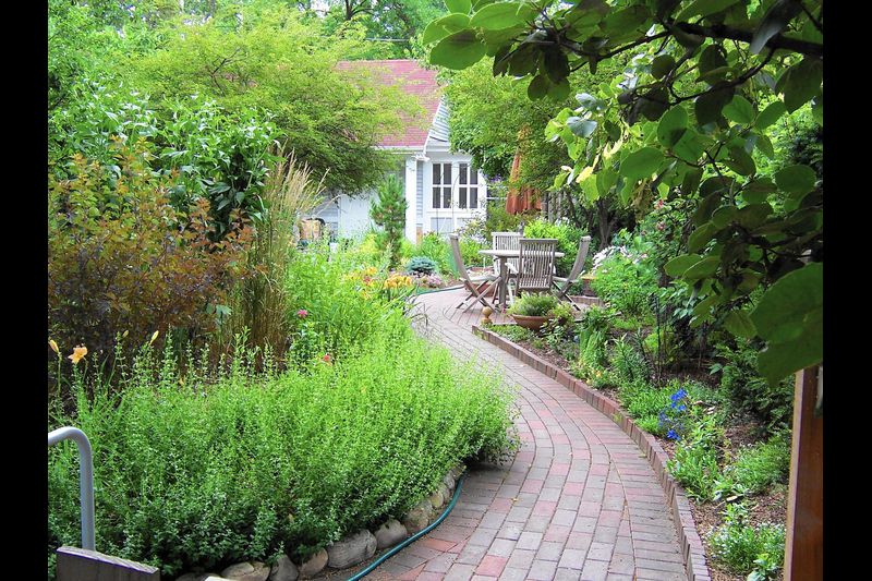 Stepping into the pleasures of a well-designed garden path .