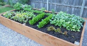 How To Build a Raised Garden Planter Bed - Gardening Project DIY .