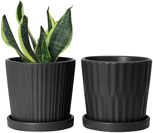 Amazon.com: Greenaholics Medium Plant Pots - 6 Inch Black Cylinder .