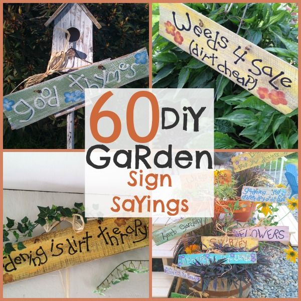 DIY Garden Signs and Garden Sign Sayings - | Funny garden signs .