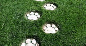 Dog Paws Stepping Stones | Garden stepping stones, Stepping stones .