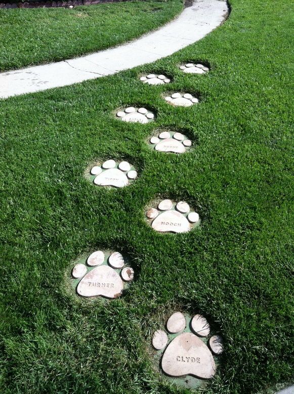 Dog Paws Stepping Stones | Garden stepping stones, Stepping stones .