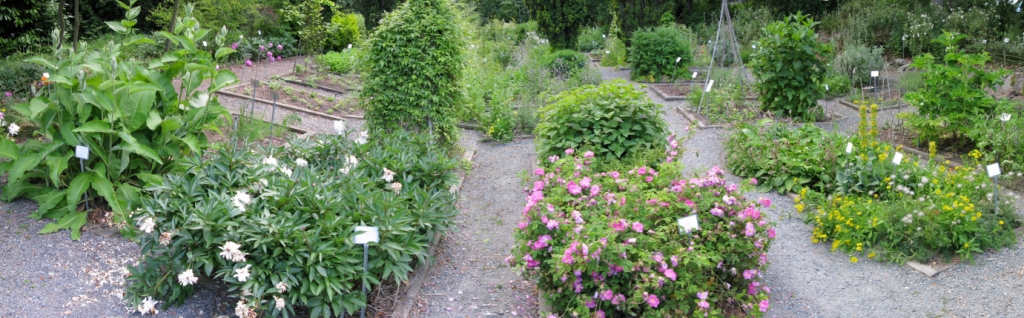 UW Medicinal Herb Garden Home Pa