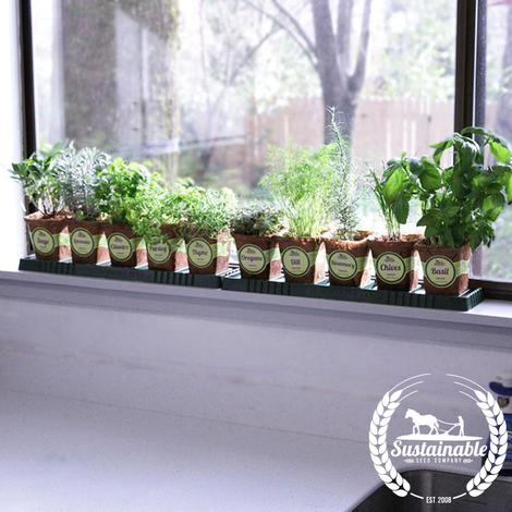 Window Herb Garden Kit – Sustainable Seed Compa
