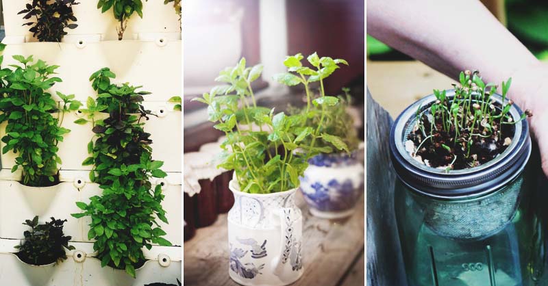 46 Indoor Herb Garden Ideas That Will Inspire You to Start Planti