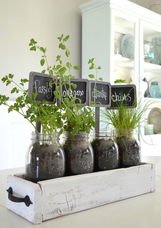 tabletop indoor herb garden | Indoor herb garden, Herbs indoors .