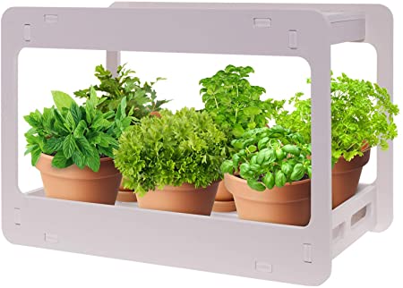 Amazon.com : Extra Wide LED Indoor Herb Garden - at Home Stackable .