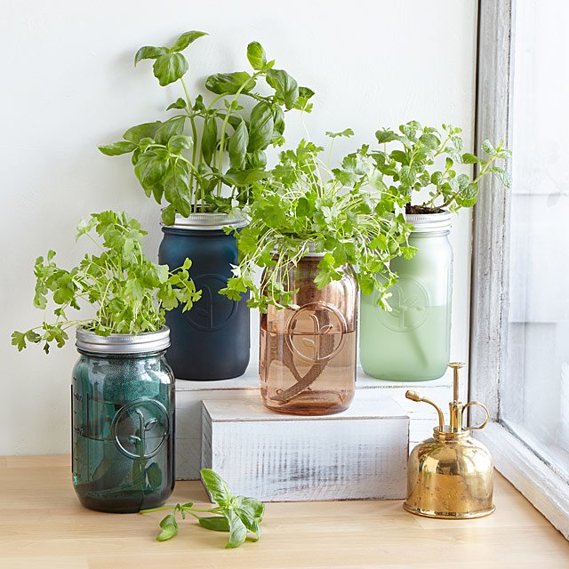 Mason Jar Indoor Herb Garden | Hydroponic Grow Kit | Uncommon Goo